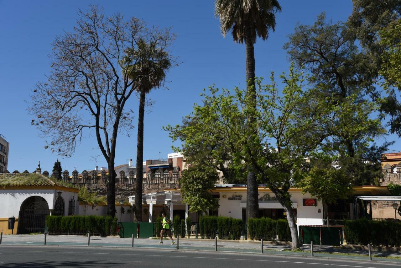 Modern Atico, Close Macarena/Sevilla Center ภายนอก รูปภาพ